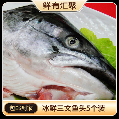 鲜有汇聚进口炖汤冰鲜三文鱼头