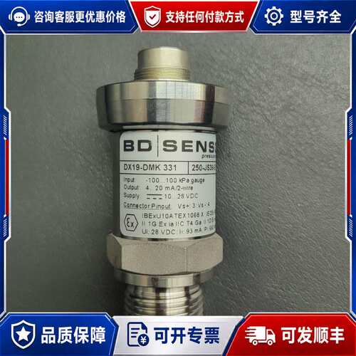 议价德国BD压力传感器DX19-DMK331可维修