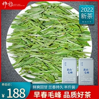 祁雅 Чай Мао Фэн, зеленый чай, весенний чай, чай Синь Ян Мао Цзян, коллекция 2022