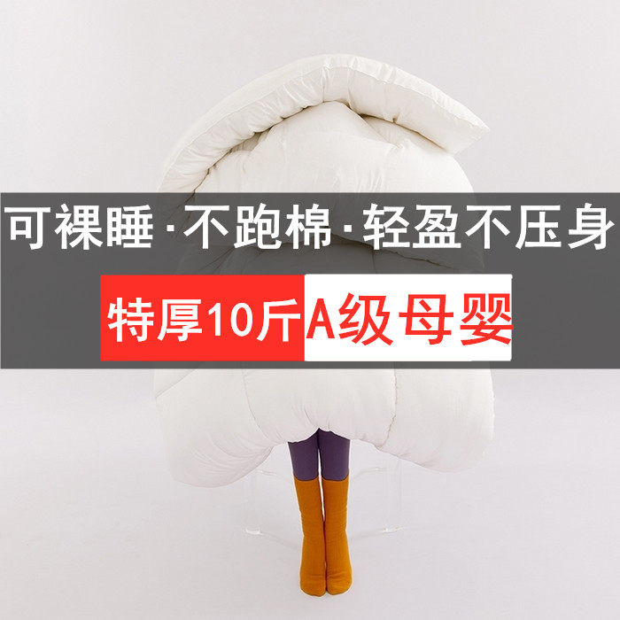 特价被子冬天加厚保暖棉被芯春秋化纤被