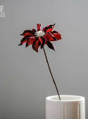 南笙 家居饰品天然干花花束插花客厅花艺摆设装饰拍摄道具 虞美人