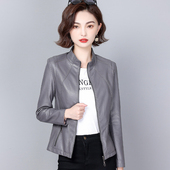 秋季 外套 绵羊皮立领百搭皮夹克小个子修身 新款 海宁真皮皮衣女短款