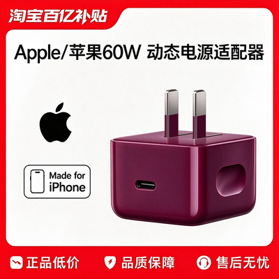 【官方正品】60W动态电源适配器