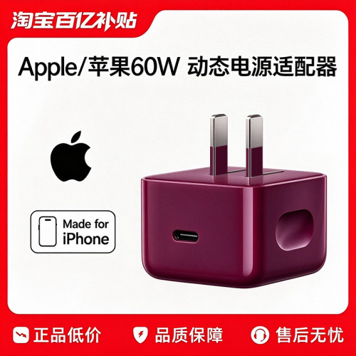 【官方正品】60W动态电源适配器