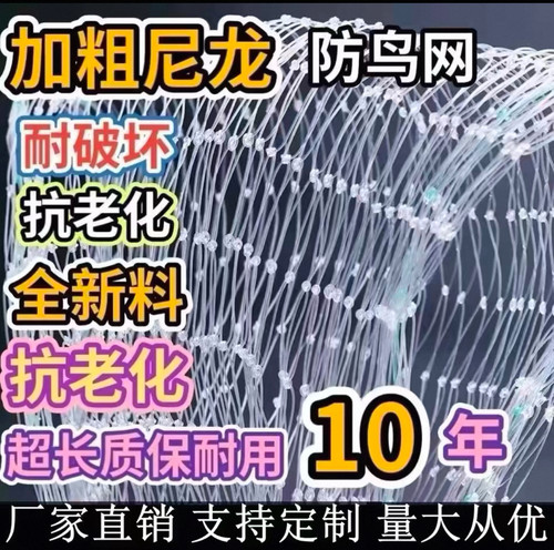 防鸟网果树草莓大棚樱桃葡萄梨树果园防鸟用网尼龙养殖网鱼塘天网