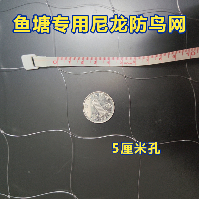 果园防鸟网大棚养殖尼龙