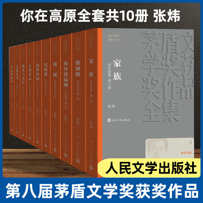 正版你在高原 全10册套装 张炜著 茅盾文学获作品全集 关于爱和童年残忍和怜悯不幸和永生的回忆小说作品集人民文学出版社