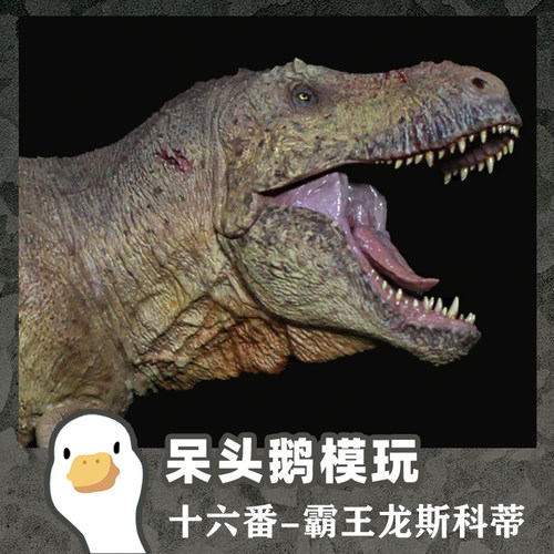 【呆头鹅模玩】十六番工作室博物馆系列霸王龙斯科蒂恐龙模型