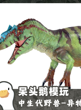 【呆头鹅模玩】中生代野兽BOM 35比脆弱异特龙恐龙模型可动玩具
