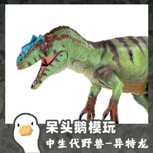 【呆头鹅模玩】中生代野兽BOM 35比脆弱异特龙恐龙模型可动玩具