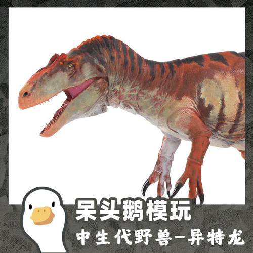 【呆头鹅模玩】中生代野兽BOM1比35异特龙恐龙模型玩具