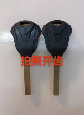 无极200R300R RR AC DS GY500R525R500DS650DS CU525钥匙坯