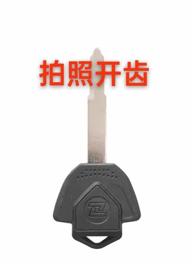 珠峰凯越400X/500X/525X/ZF500GY/321R钥匙胚带芯片非原装钥匙