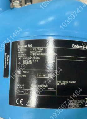 出 Endress+Hauser Promass 300 议价