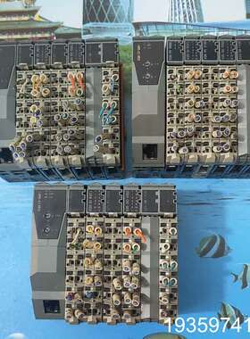 X20CP0291贝加莱X20PS9500 X20DI937议价
