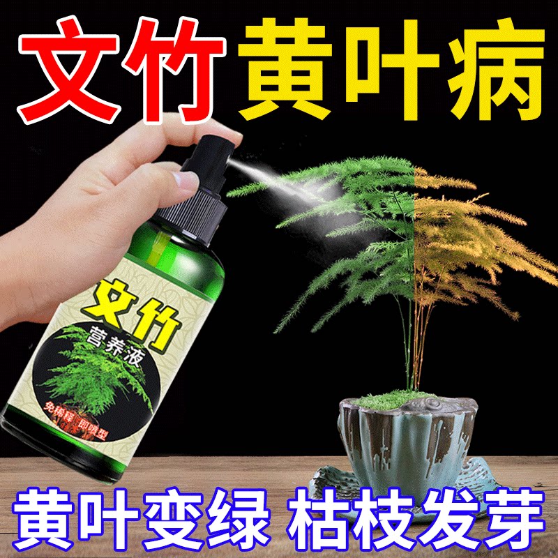 文竹专用营养液叶子发黄一喷绿水培植物黄叶烂根肥料增根壮花花肥
