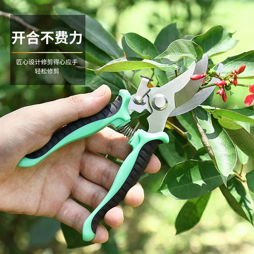 不锈钢树枝剪修枝剪园艺剪刀果园花艺专用摘果剪园林工具剪批发