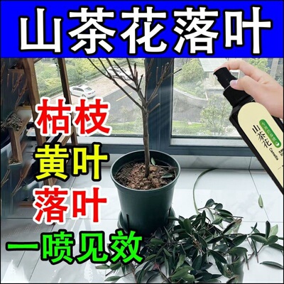 茶花专用营养液家用肥料室内养花花卉液体肥催花复合有机肥