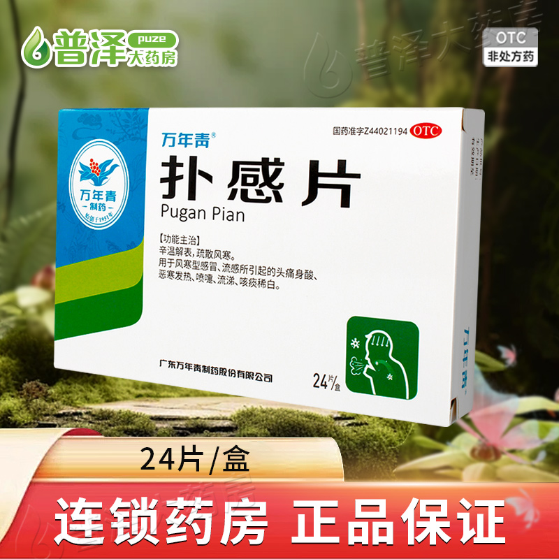 【万年青】扑感片24片/盒
