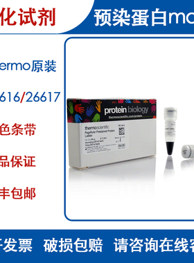 Thermo赛默飞 WB预染蛋白Maker 10-180kDa 26616 26617彩虹条带