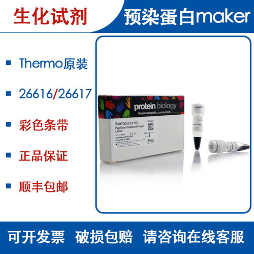 赛默飞26617WB预染蛋白Maker