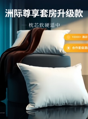 洲际酒店舒适纺织全棉羽丝绒白色酒店护颈椎助睡眠枕头枕芯一对