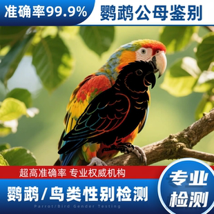 鹦鹉验卡公母鹦鹉检测公母玄凤牡丹玉鸟小太阳验卡公母