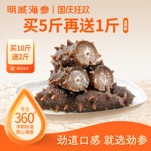 即食海参500g单只独立包装