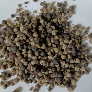 新货正品中药材蔓荆子