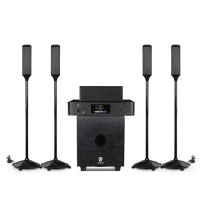 Winner/天逸悠享一号 天逸5.1声道家庭影院套装家庭影院音响一套