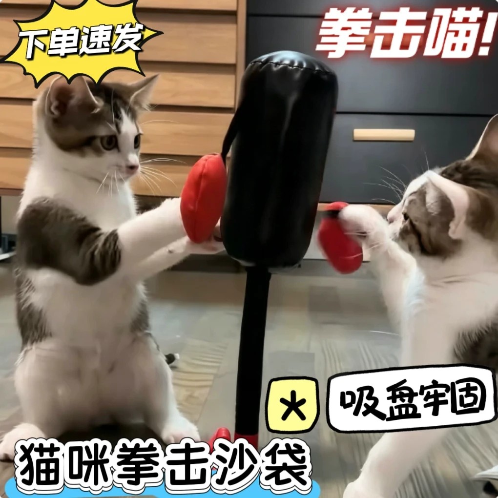 猫咪玩具自嗨解闷拳套吸盘立式立柱逗猫拳套沙袋幼猫逗猫玩具