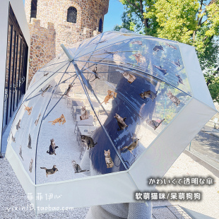 小清新网红日系可爱猫咪狗狗印花抗风轻量自动长柄透明雨伞男女