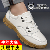 真牛皮牛筋底韩版 小白鞋 男春秋男士 商务休闲皮鞋 头层牛皮 皮鞋