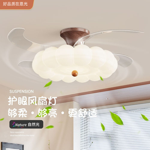 护眼吸顶风扇灯南瓜奶油风新款