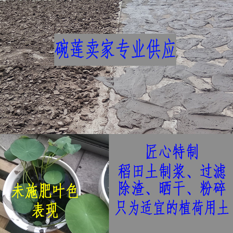 天然稻田土 碗莲荷花专用土塘泥水生植物种植土营养土 乌托邦特制