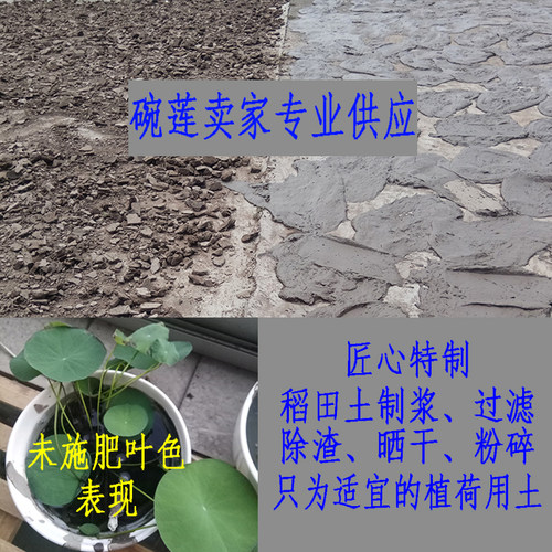 乌托邦特制塘泥稻田土荷花专用土
