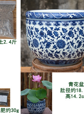环球水生花卉无孔树脂青花荷花盆
