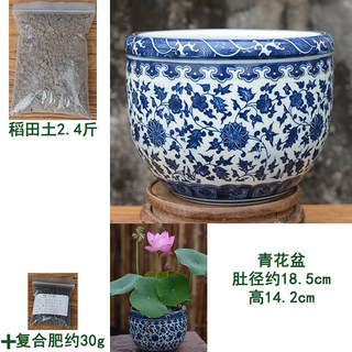 环球碗莲荷花盆水生花卉植物无孔树脂青花陶瓷