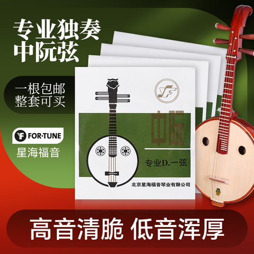 北京星海福音专业独奏中阮弦