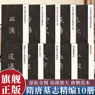新出隋唐碑志精编10本 隋大将军杨素墓志/颜勤礼夫人殷懿姬墓志/颜真卿书李梗墓志等楷书书法学习者临摹和欣赏范本河南美术出版社