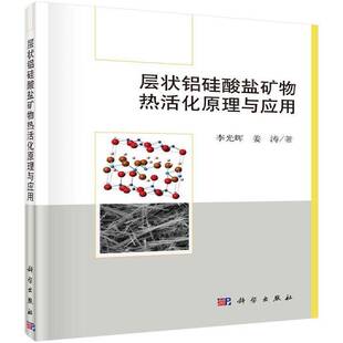 层状铝硅酸盐矿物热活化原理与应用李光辉科学出版社