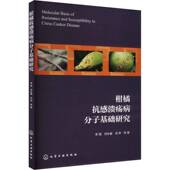 柑橘抗感溃疡病分子基础研究李强化学工业出版 社