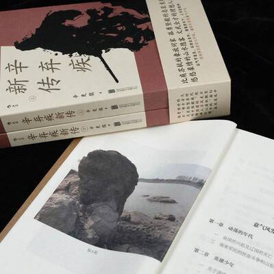 辛弃疾新传辛更儒北京联合出版公司