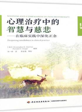 心理治疗中的智慧与慈悲:在临床实践中深化正念:deepening mindfuiness in clinical practice中国轻工业出版社