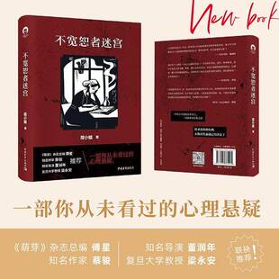 不宽恕者迷宫荷小姐中国青年出版社