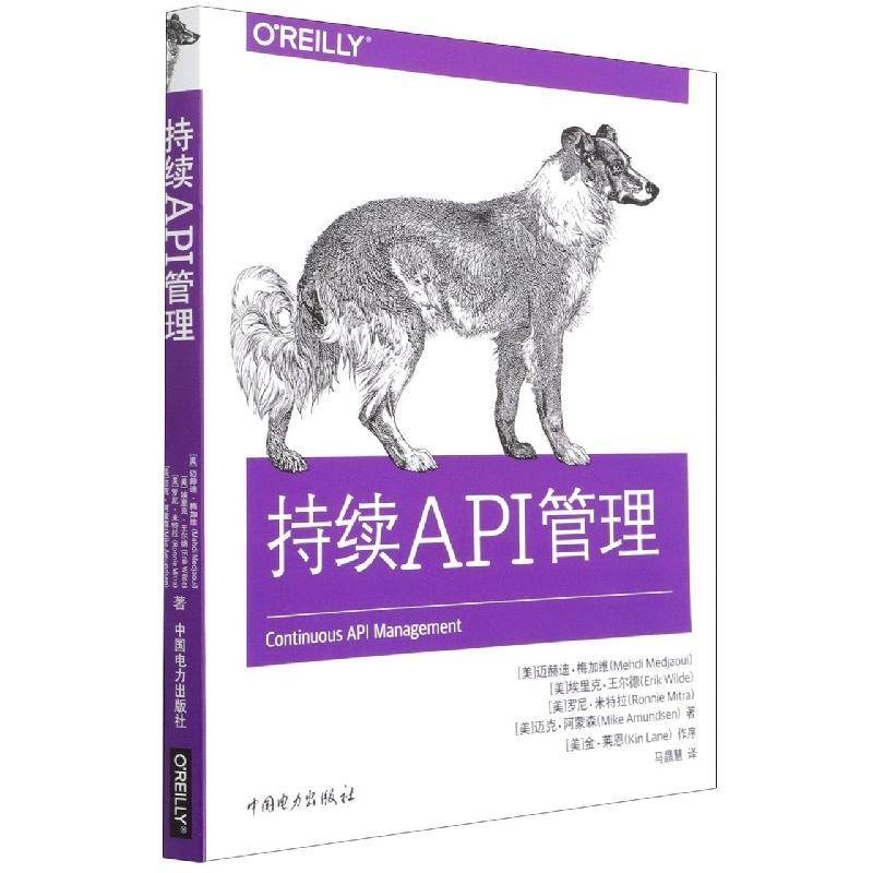 持续API管理迈赫迪·梅加维中国电力出版社