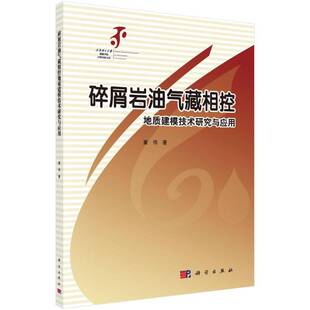 碎屑岩油气藏相控地质建模技术研究与应用董伟科学出版社
