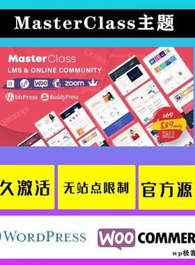 MasterClass WP主题 Wordpress网站模板 教育主题学习管理系统