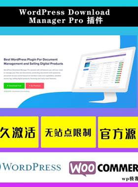 WordPress Download Manager Pro WP插件 文档文件访问控制插件