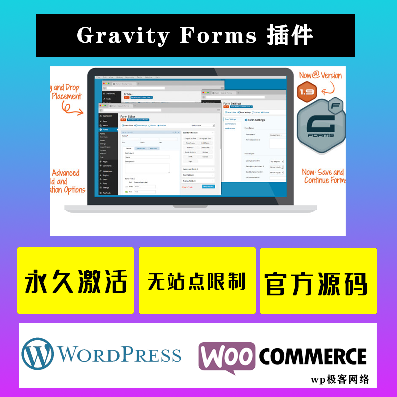 Gravity Forms WP插件 中文版 自定义表格设计高级表单插件